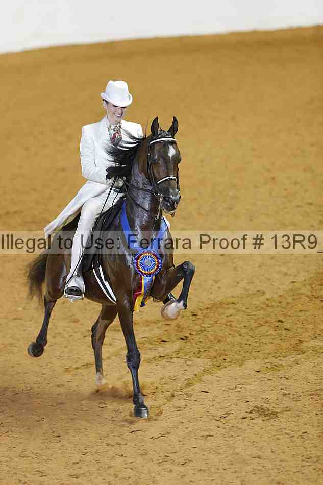 Proof 13r9_2990