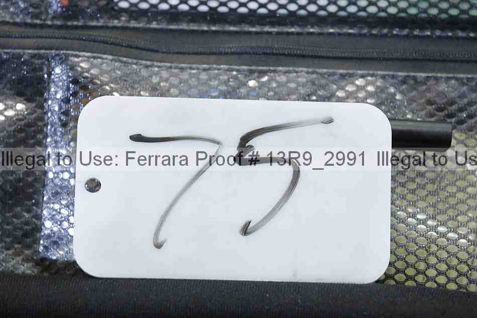 Proof 13r9_2991