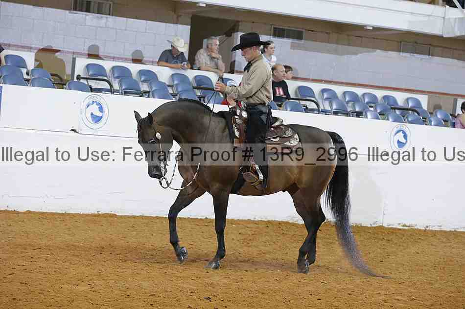 Proof 13r9_2996