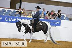 13r9_3000 proof