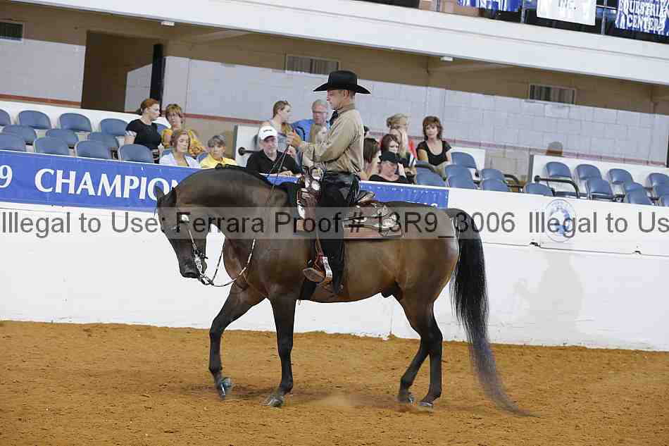 Proof 13r9_3006