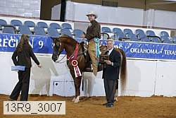 13r9_3007 proof