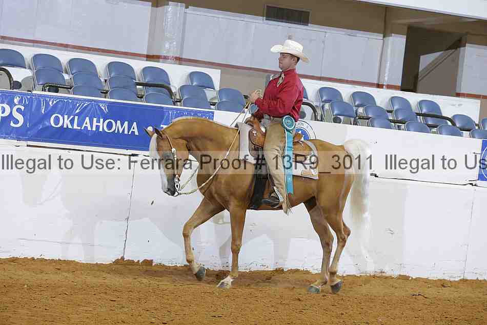 Proof 13r9_3011