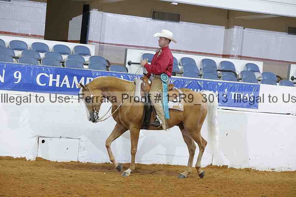 Proof 13r9_3013