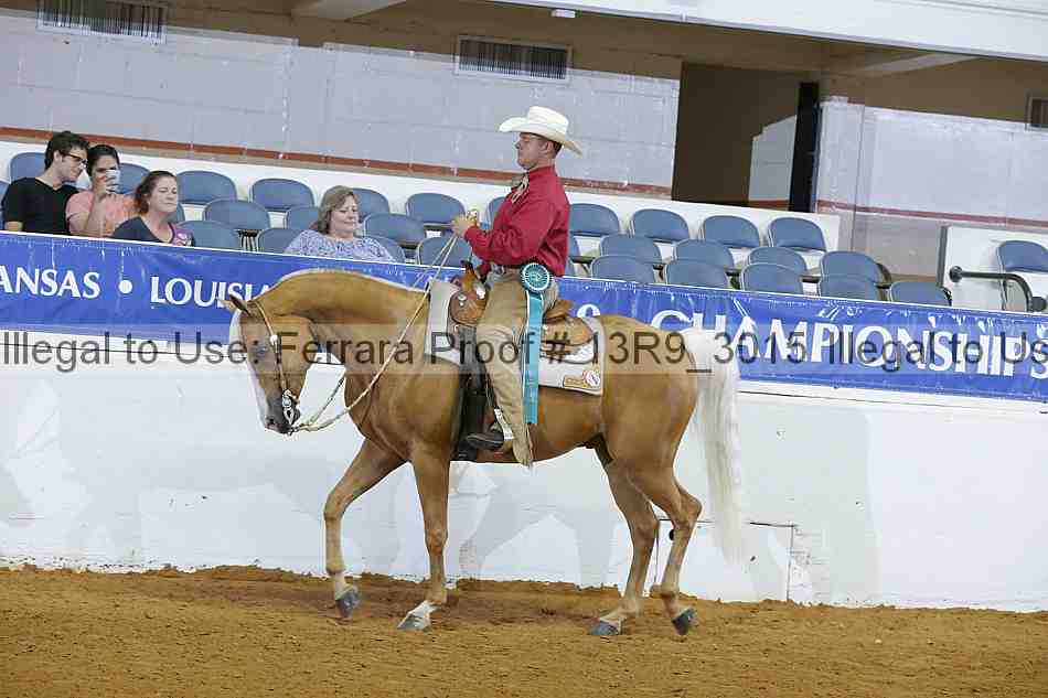 Proof 13r9_3015