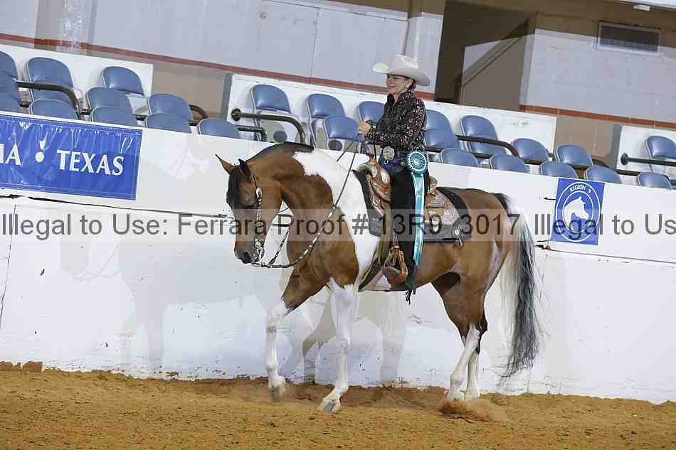 Proof 13r9_3017