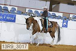 13r9_3017 proof