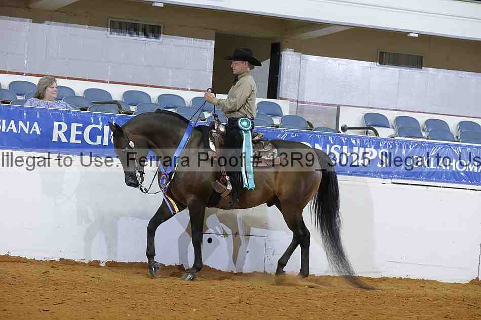Proof 13r9_3025