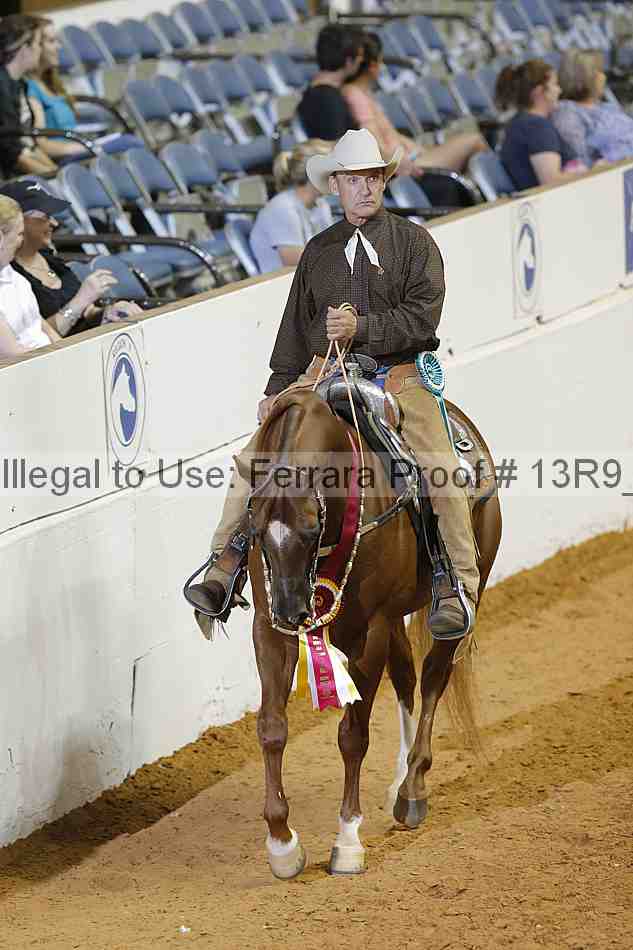 Proof 13r9_3027