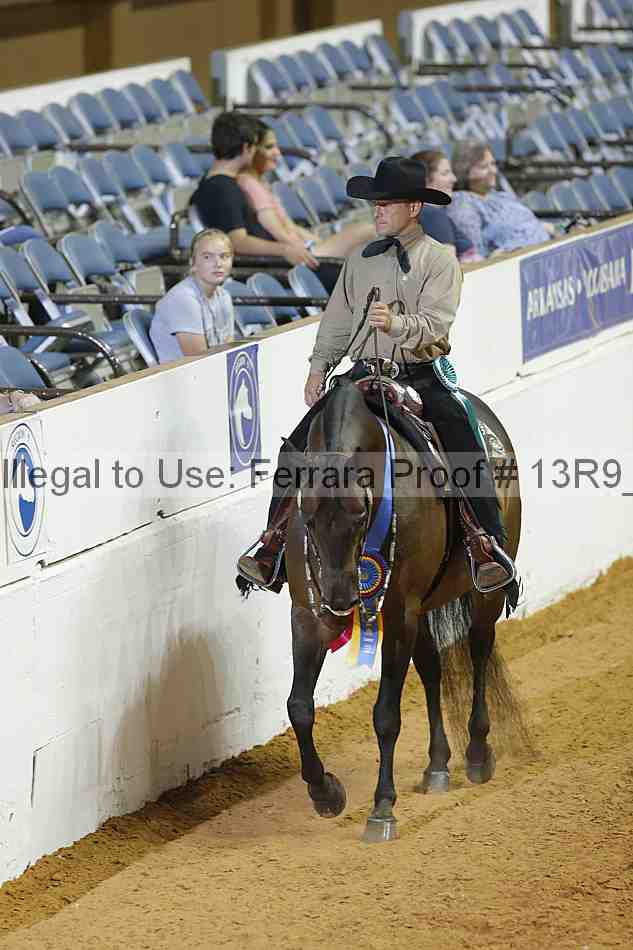 Proof 13r9_3029