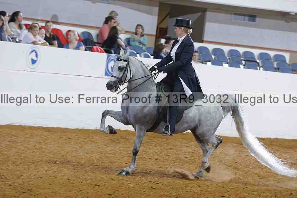 Proof 13r9_3032