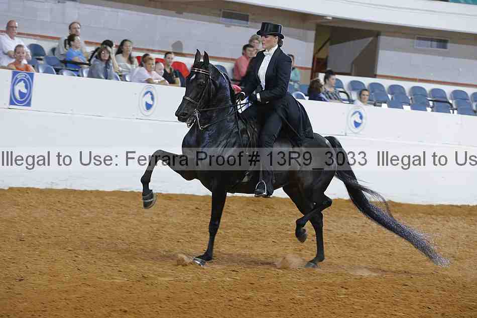 Proof 13r9_3033