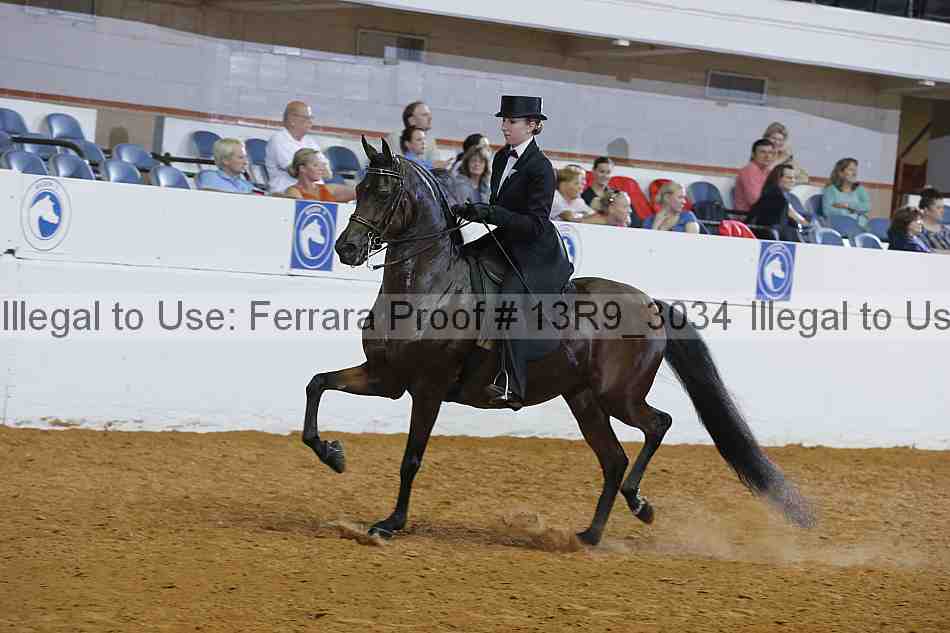 Proof 13r9_3034