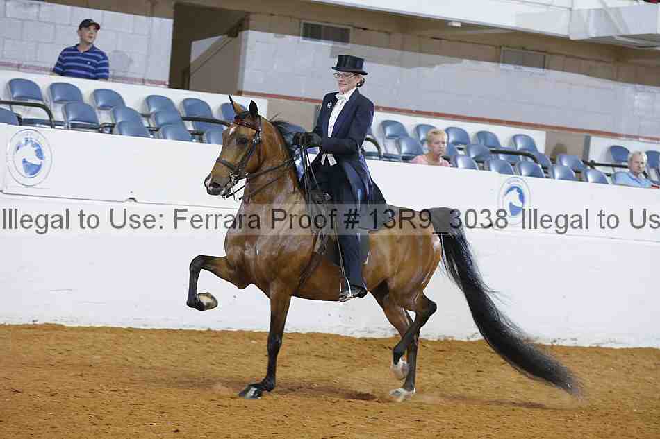 Proof 13r9_3038