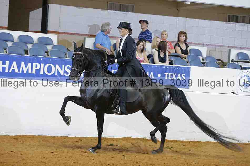Proof 13r9_3039
