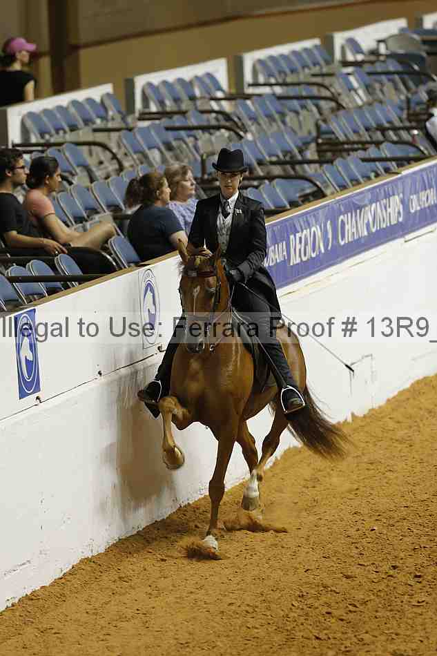 Proof 13r9_3041