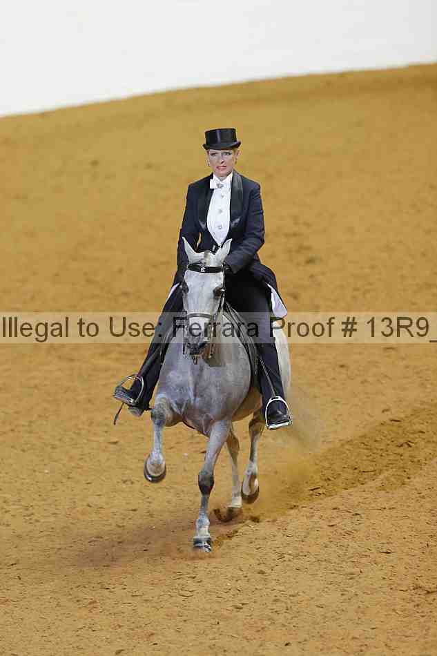 Proof 13r9_3042