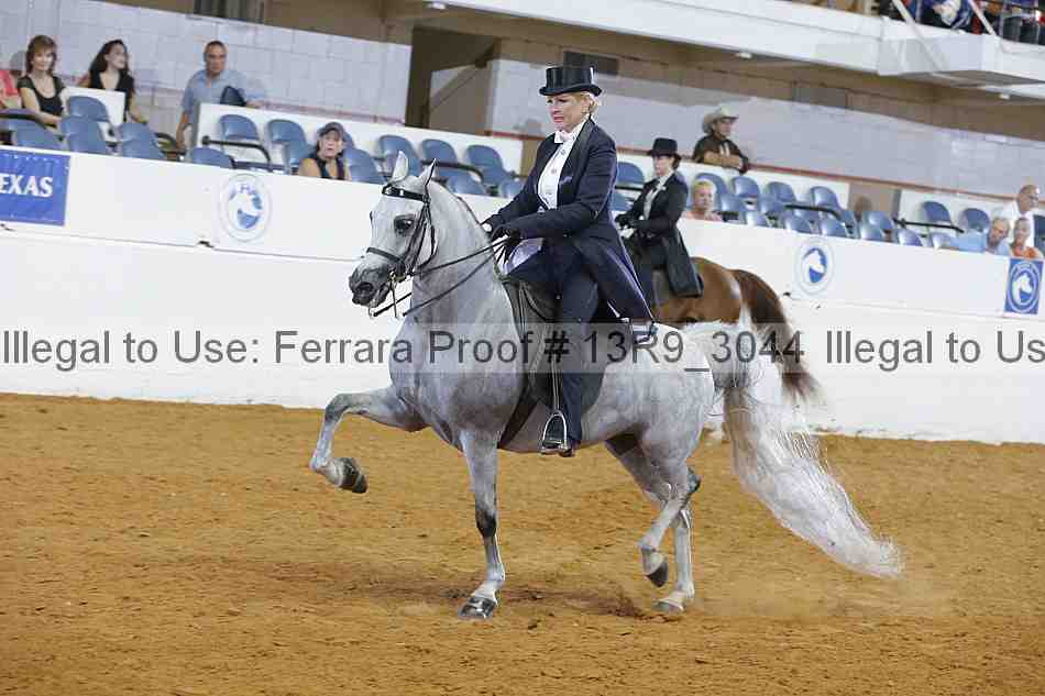 Proof 13r9_3044