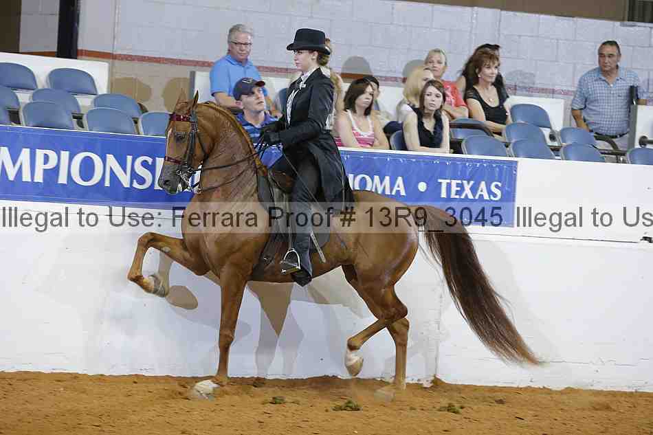 Proof 13r9_3045