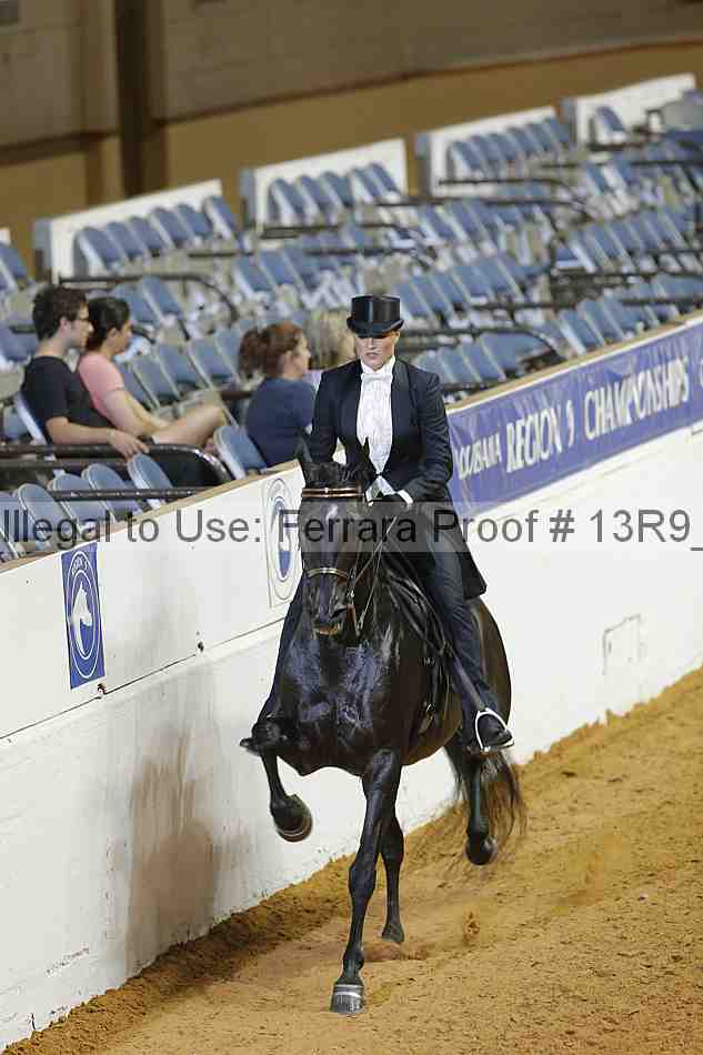 Proof 13r9_3046
