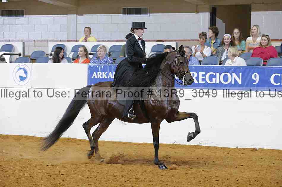 Proof 13r9_3049