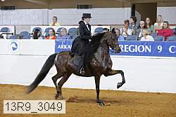 13r9_3049 proof