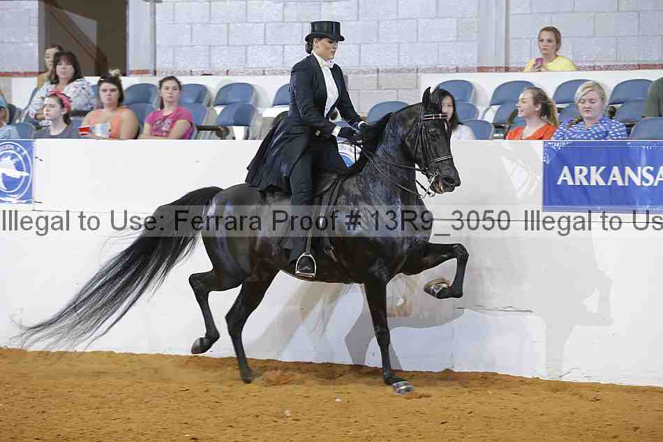 Proof 13r9_3050