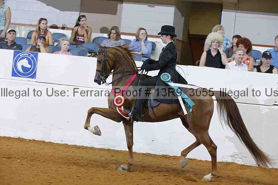Proof 13r9_3055