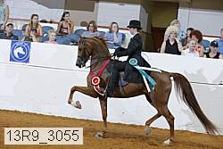 13r9_3055 proof