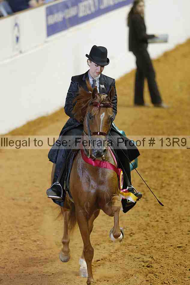Proof 13r9_3056