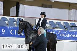 13r9_3057 proof
