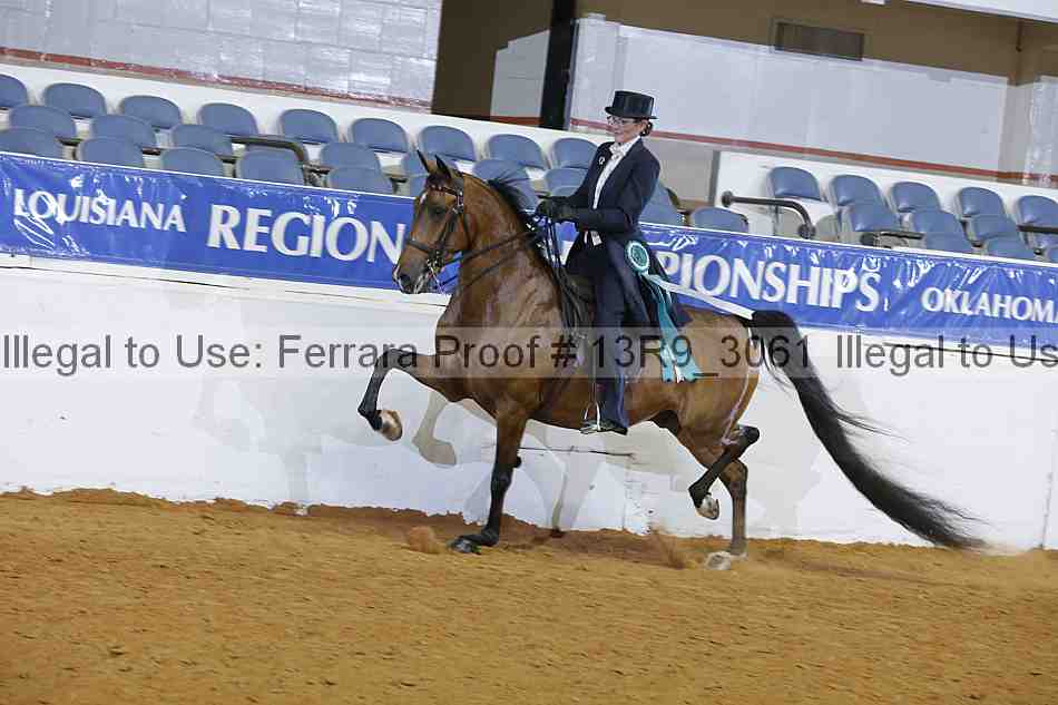 Proof 13r9_3061