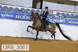 13r9_3061 proof