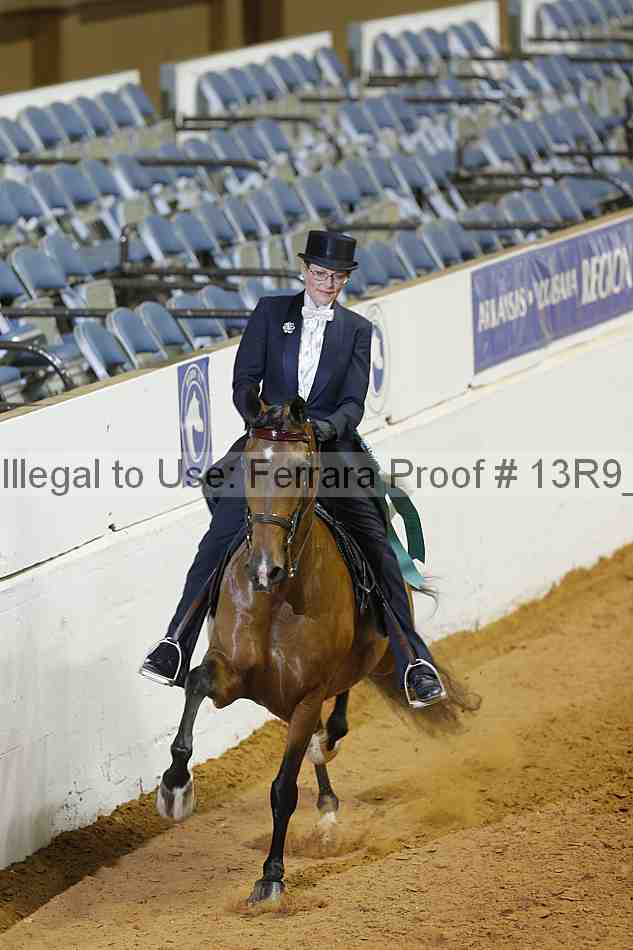 Proof 13r9_3062