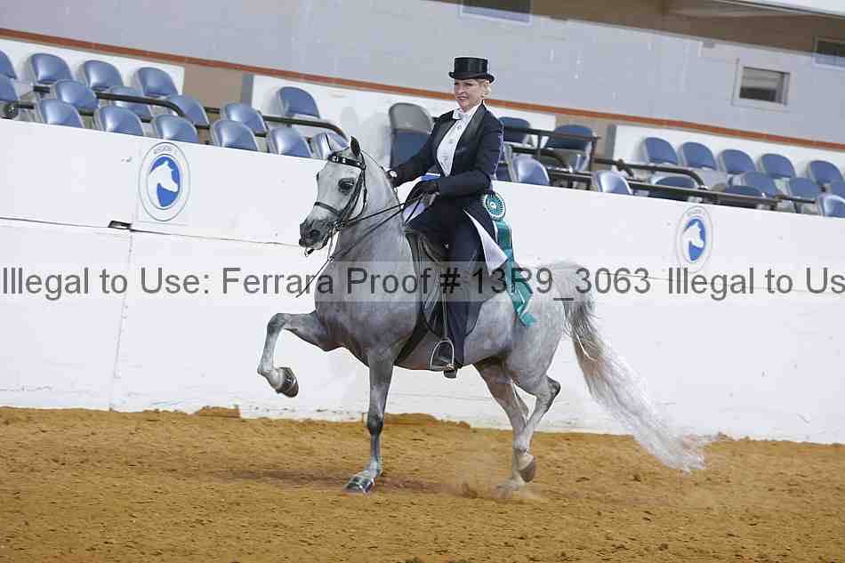 Proof 13r9_3063