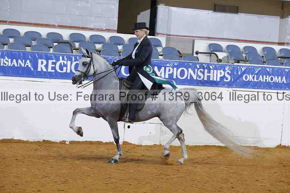 Proof 13r9_3064