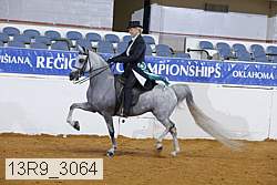 13r9_3064 proof