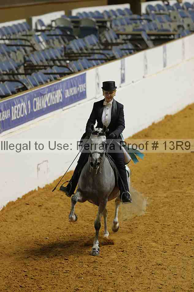 Proof 13r9_3065