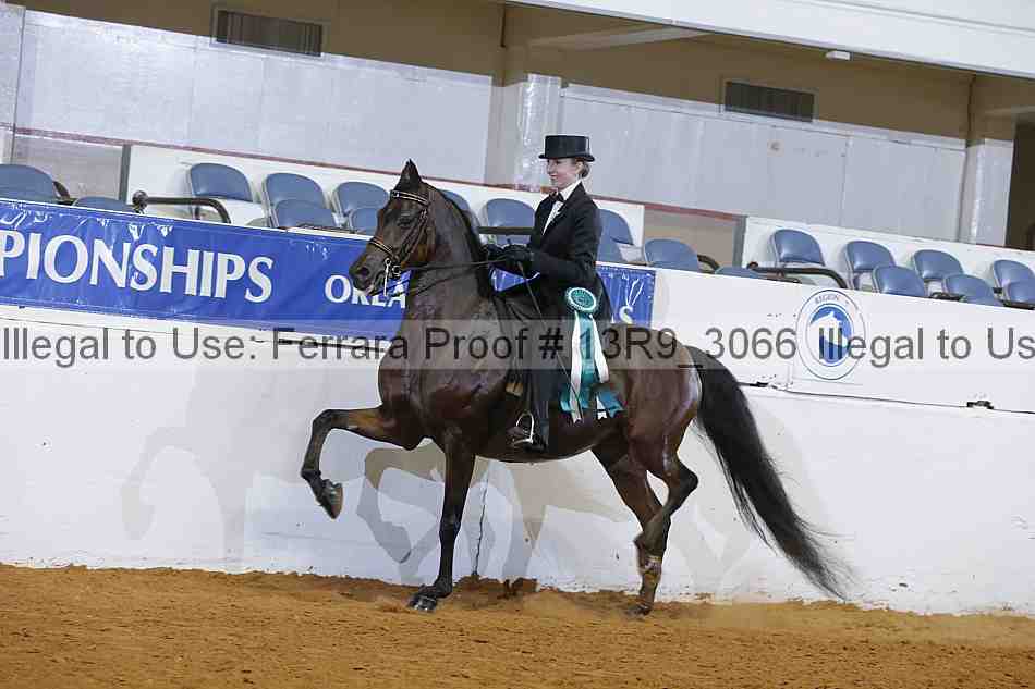 Proof 13r9_3066