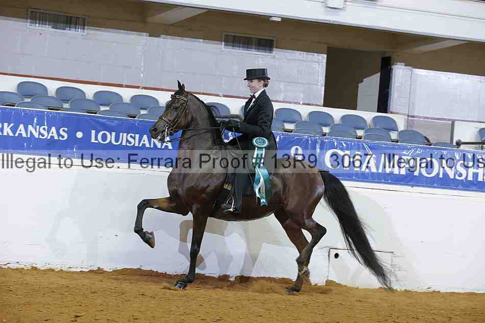 Proof 13r9_3067