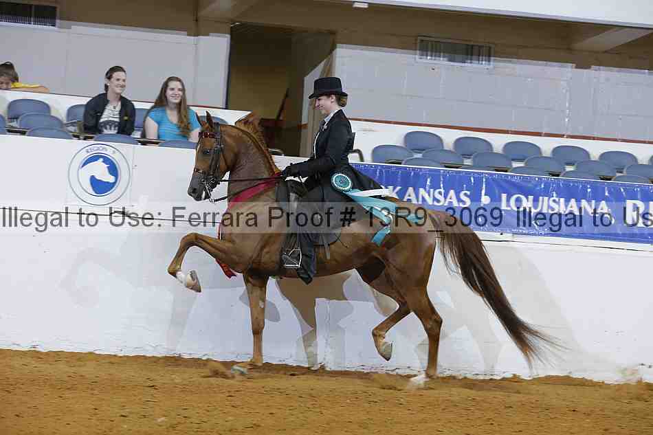 Proof 13r9_3069
