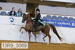 13r9_3069 proof