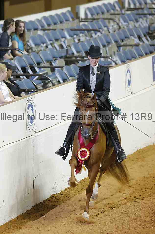 Proof 13r9_3071