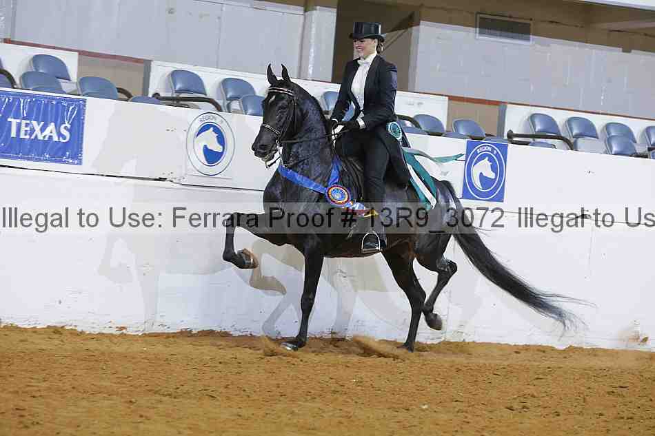 Proof 13r9_3072