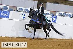 13r9_3072 proof