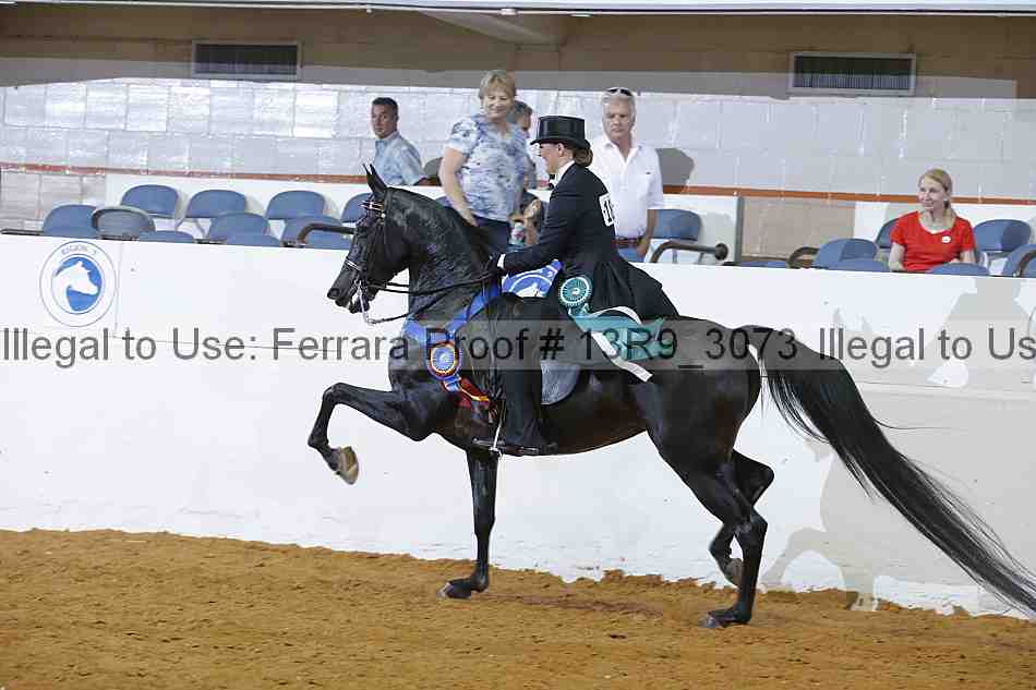 Proof 13r9_3073
