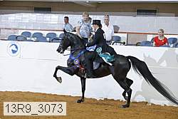 13r9_3073 proof
