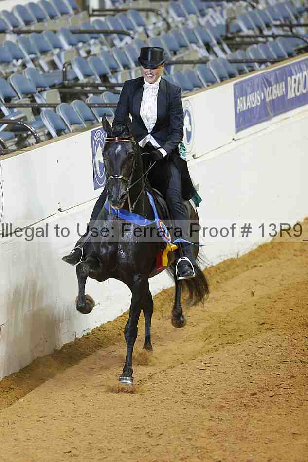 Proof 13r9_3074