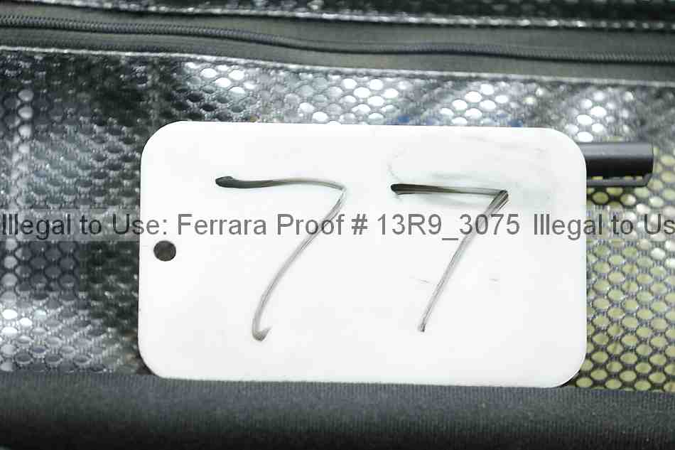 Proof 13r9_3075