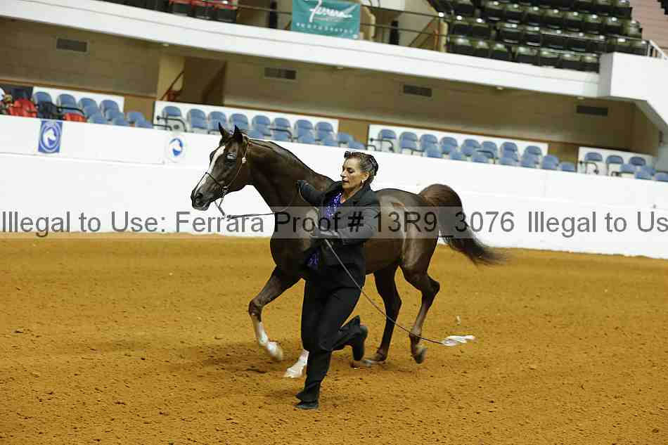 Proof 13r9_3076